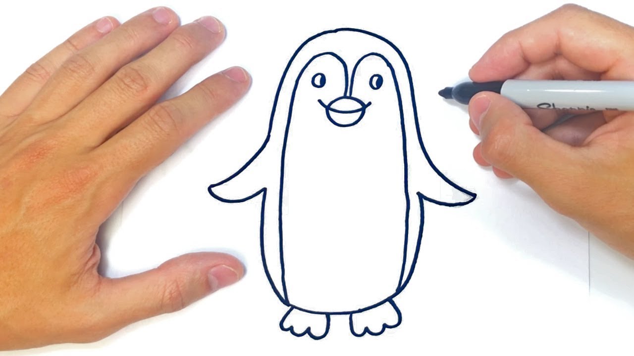 Cómo dibujar un Pinguino Paso a Paso | Dibujo de Pinguino - thptnganamst.edu.vn