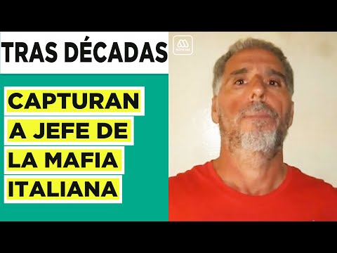 Vídeo: Chillidos Del Jefe De La Mafia