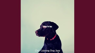 Pulsating Moods for Sleeping Dogs