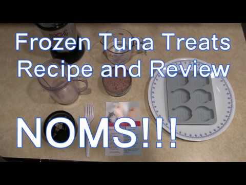 Video: Fai-da-te - Frozen Tuna Treats