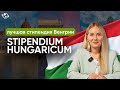 Как получить Stipendium Hungaricum | БЕСПЛАТНАЯ УЧЕБА В ВЕНГРИИ