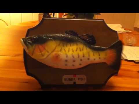 Bubba Fish