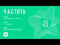 ЧАСТОТА - День 43