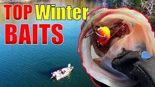 Master Winter Bass Fishing with My Expert-Recommended Bait Selection
