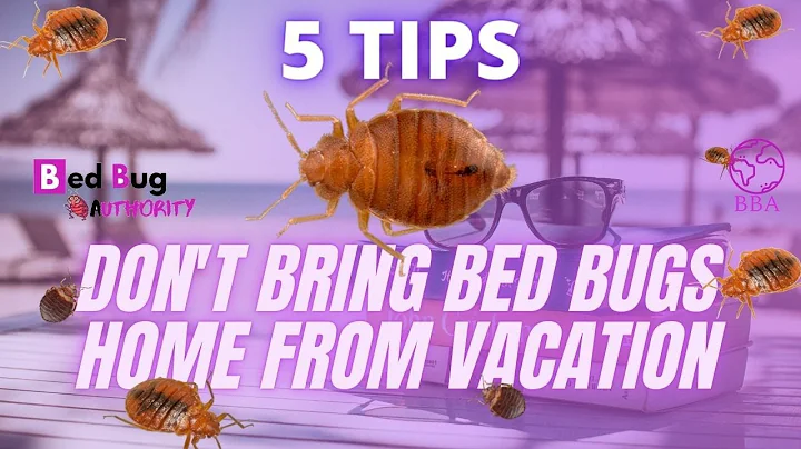5 TIPS FOR NOT BRINGING HOME BED BUGS AFTER YOUR VACATION | KEEPING BED BUGS OUT | BED BUG AUTHORITY