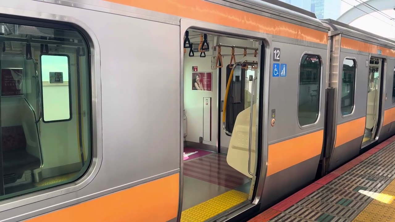 도쿄역에 도착, 출발하는 JR 히가시니혼 주오 쾌속선 E233계 0번대 전동차