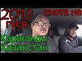 18+.ОХОТА НА ГУСЯ В КАРАГАНДЕ.КАЗАХСТАН.ГУСЯ МИЛЛИОН-ВЗЯЛ ТРЕХ. ТЕМИРТАУ.GOOSE HUNTING.KAZAHSTAN.