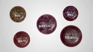 휴랩 올클리어 전해수기 일체형 무선 물걸레 청소기 HSM-210