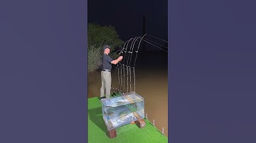 Câu cá ikada, câu ngâm, câu bè 🐟 #8 #shorts  #fishing