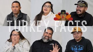 Turkey Facts - How good is your Thanksgiving Turkey Trivia?