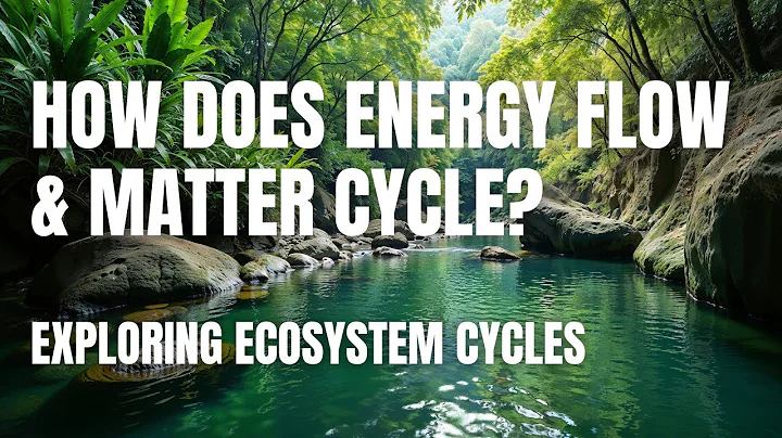 Cycling of Matter and Flow of Energy: How Ecosystems Work | Middle School Science