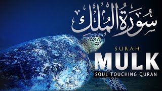 Surah Al-Mulk (سوره الملک ) | Heart Touching Quran Recitation | akhtiar_s99