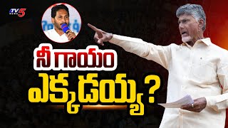 నీ గాయం ఎక్కడయ్య? | Chandrababu Comments on CM Jagan Wound Heals | TV5 News