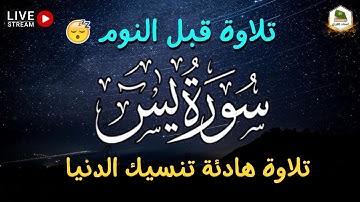 قران كريم بصوت جميل جدا جدا قبل النوم - سورة يس - تلاوة هادئة تنسيك الدنيا وهمها راحة نفسية لا توصف