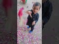 🌺 flower 🌺🌹 पतझड़ का मौसम | फूलदेई का त्योहार  flower 🌹😂🔥🎉❤️😀 | 🍄🌱🌿🌿🌻🏵️💮🌷🌺🥀 baby and flowers 🌵🌴🌲🌿💮🌺🍃