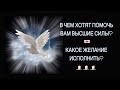 В ЧЕМ ХОТЯТ ПОМОЧЬ ВАМ ВЫСШИЕ СИЛЫ? | Какие мечты и желания исполнить? | ТАРО ГАДАНИЕ ОНЛАЙН