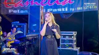 CAMELIA MUSIC - ILALANG - EVA AQUILA - WEDDING MEGA & ARIK - CEPOGO KEMBANG JEPARA