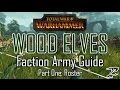 WOOD ELVES ARMY GUIDE! Part One: Roster - Total War: Warhammer