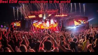 Best EDM music collection in the world - New Electronic Dance Music 2017 - EDM 최고의 음악