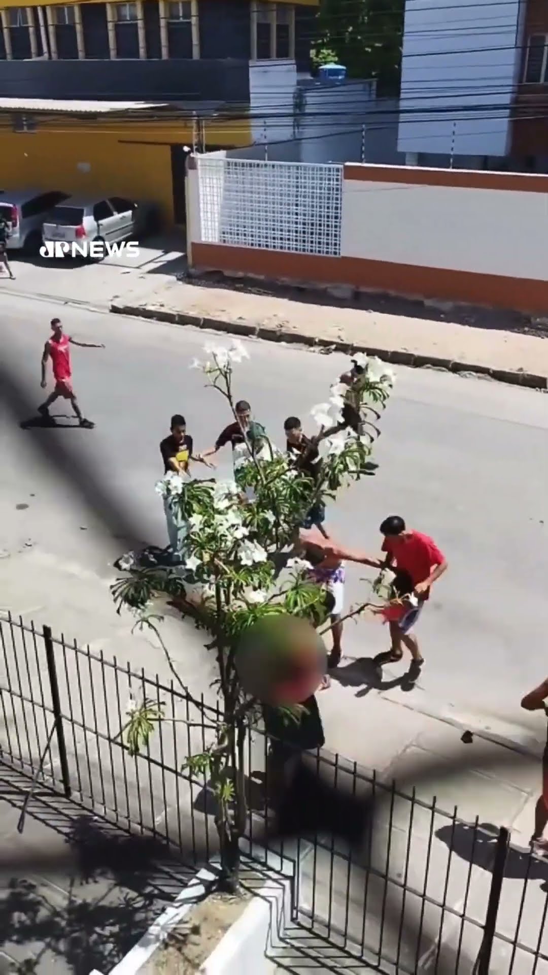 Briga em prévias de Carnaval em Olinda terminam com 29 detidos #shorts