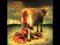 Cattle Decapitation - Applied Human Defragmentation