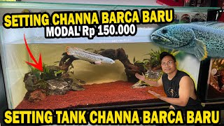 MODAL RP 150.000!! SETTING TANK CHANNA BARCA BARU BOS BOS QU