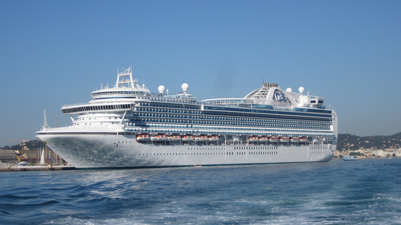 The Cruise Dudes Live Stream