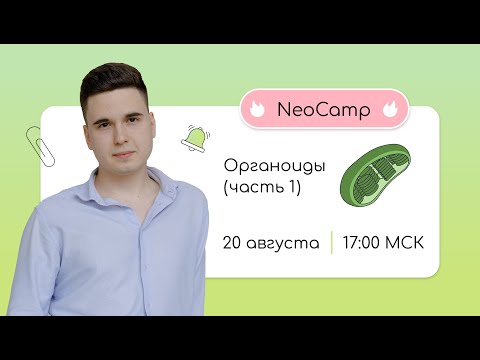 Видео: Кой тип клетка има мембранно свързано ядро?