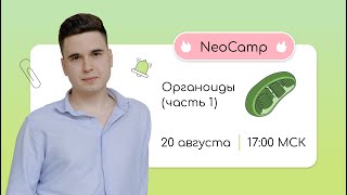 NeoCamp | Органоиды (часть 1) | ЕГЭ 2024