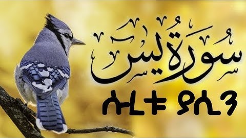 ሱረቱ ያሲን በሚማርክ ድምጽ | سورة يس | surah yaseen |