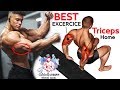 تمارين الترايسبس بدون معدات وفي المنزل كمال الاجسام | Triceps Exercises at Home