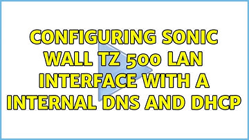 Configuring Sonic wall tz 500 LAN interface with a internal dns and dhcp