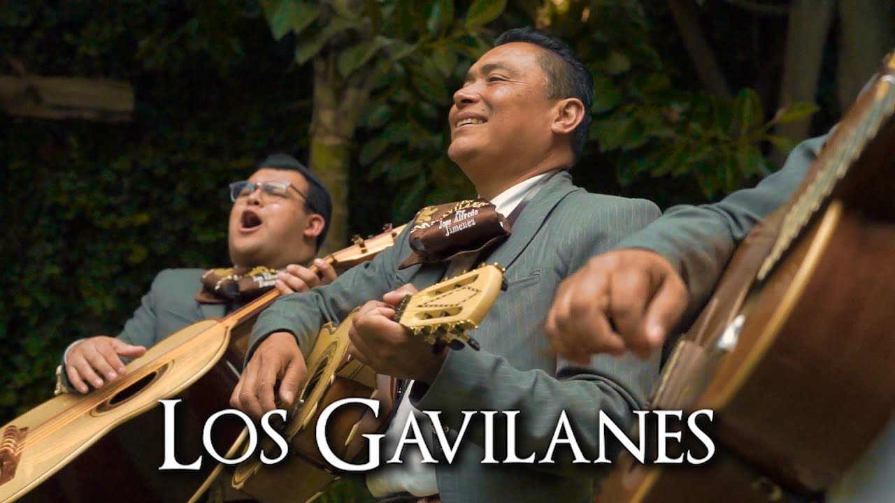 Mariachi Los Gavilanes Mariachi Los Gavilanes
