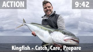 Kingfish: How to Catch, Care & Prepare