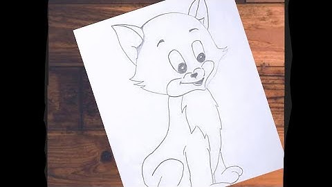 How to Draw a kitten  Narrated Step by Step