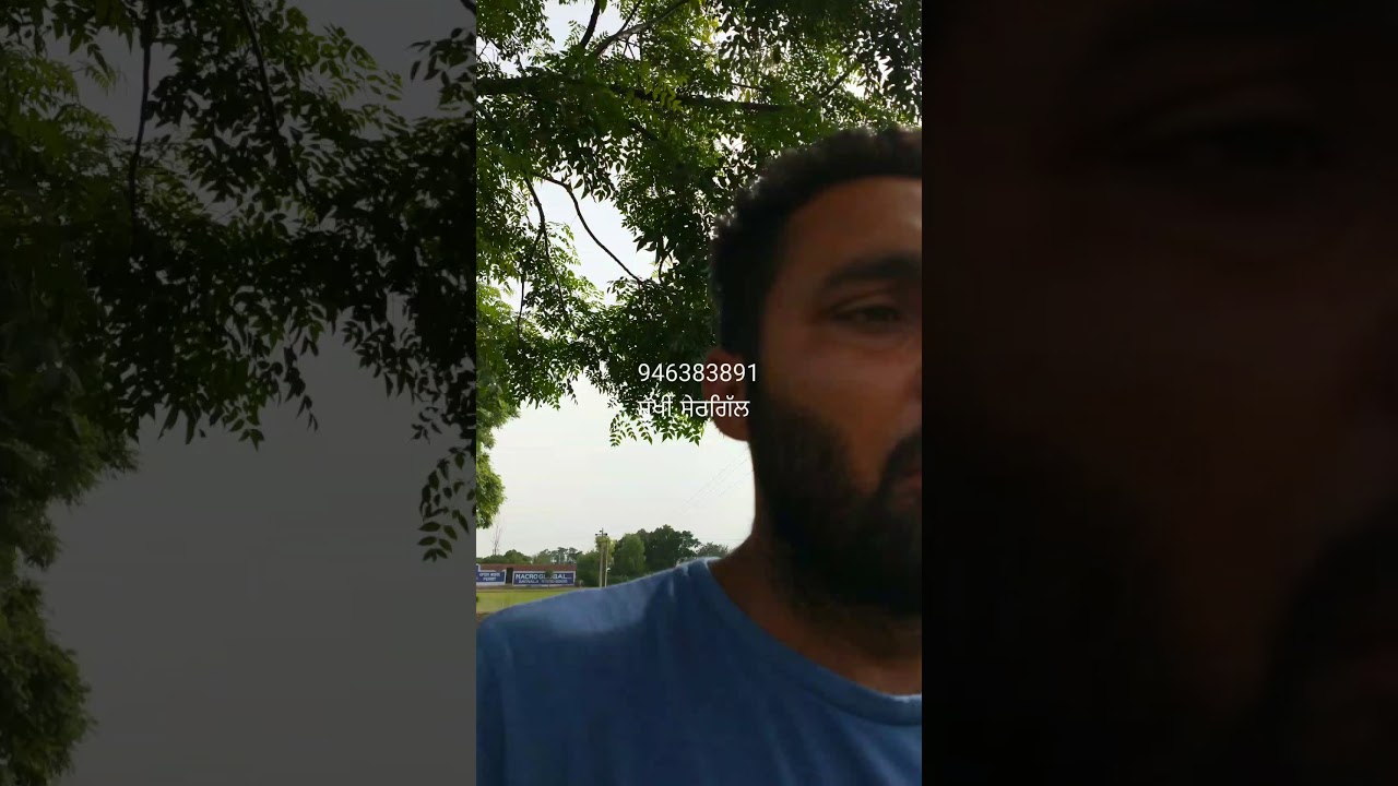 ਮੱਕੀ ਵਿਕਾਊ ਹੈ 60 ਦਿਨ ਦੀ ਹੋਗੀ  94638-38915