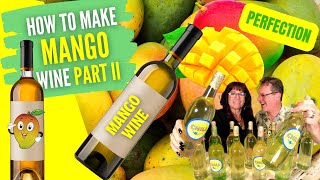 How to Make Wine from Fruit - Mango Wine Recipe - Mango Wine Part II