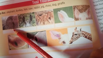 Class 4th E.V.S lesson 3 Animals around us