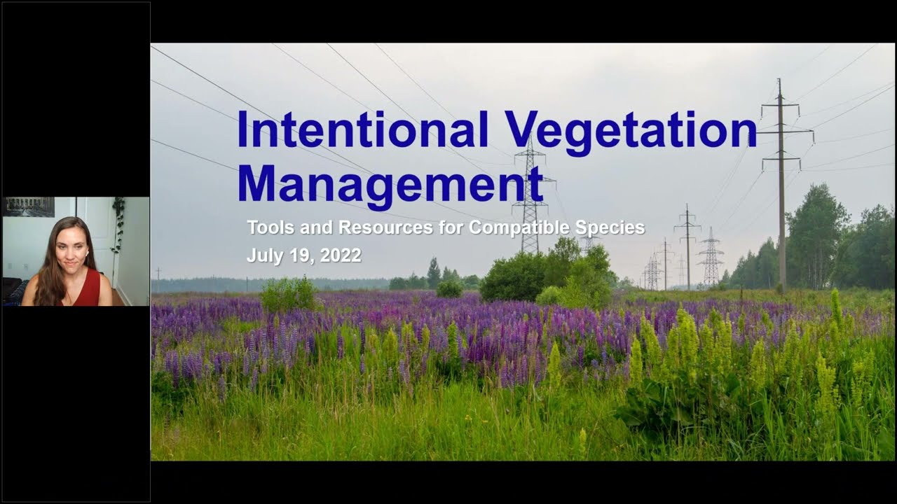 Integrated Vegetation Management: Tools and Resources for Compatible Species - July 19, 2022