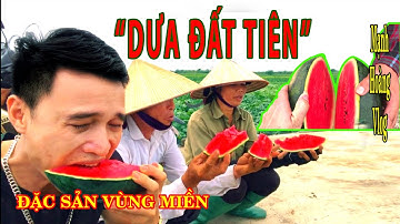 Đặc sản "Dưa hấu đất Tiên"... ở thôn Đại Công-Tiên Cường-Tiên Lãng-Hải Phòng  | Mạnh Hoàng Vlog