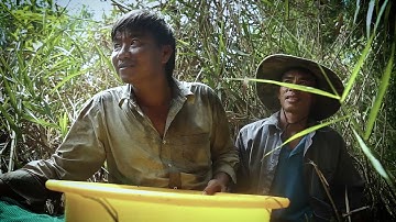 MẬT ONG RỪNG U MINH