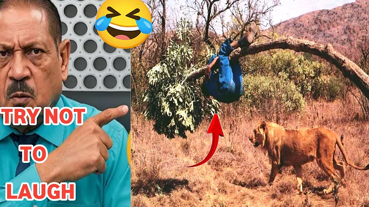 Try Not To Laugh Challenge 🤣| Crazy Funniest Video Ever In The World Ep. 56