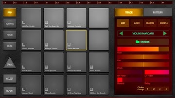 BeatHawk By UVI - String Ensemble IAP - Demo for the iPad