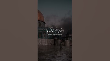 سورة النمل - اسلام صبحي