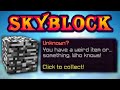 A bug gave me 54 MILLION COINS | Solo Hypixel SkyBlock [214]