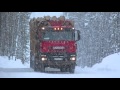 Лесовозы Iveco.  Timber transporters Iveco Trakker drive a forest