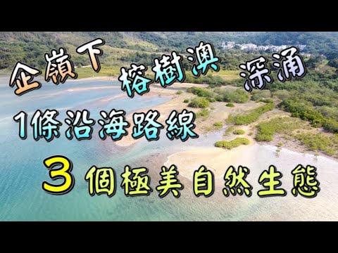 【香港－西貢】企嶺下、榕樹澳、深涌｜1條輕鬆沿海路線，3個極美自然生態景觀｜超美紅樹林｜深涌大草地｜越野單車路徑｜COMICA BOOMX - U｜