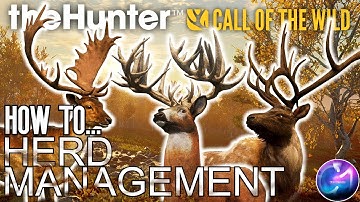 HOW TO... A Guide On How To Get Started With Herd Management. | Call Of The Wild.