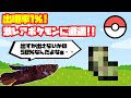 魚、激レアポケモンと遭遇！