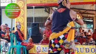 Kuda Calung Ki Parta wirangkok || Lengger Banyumasan Margo Budoyo